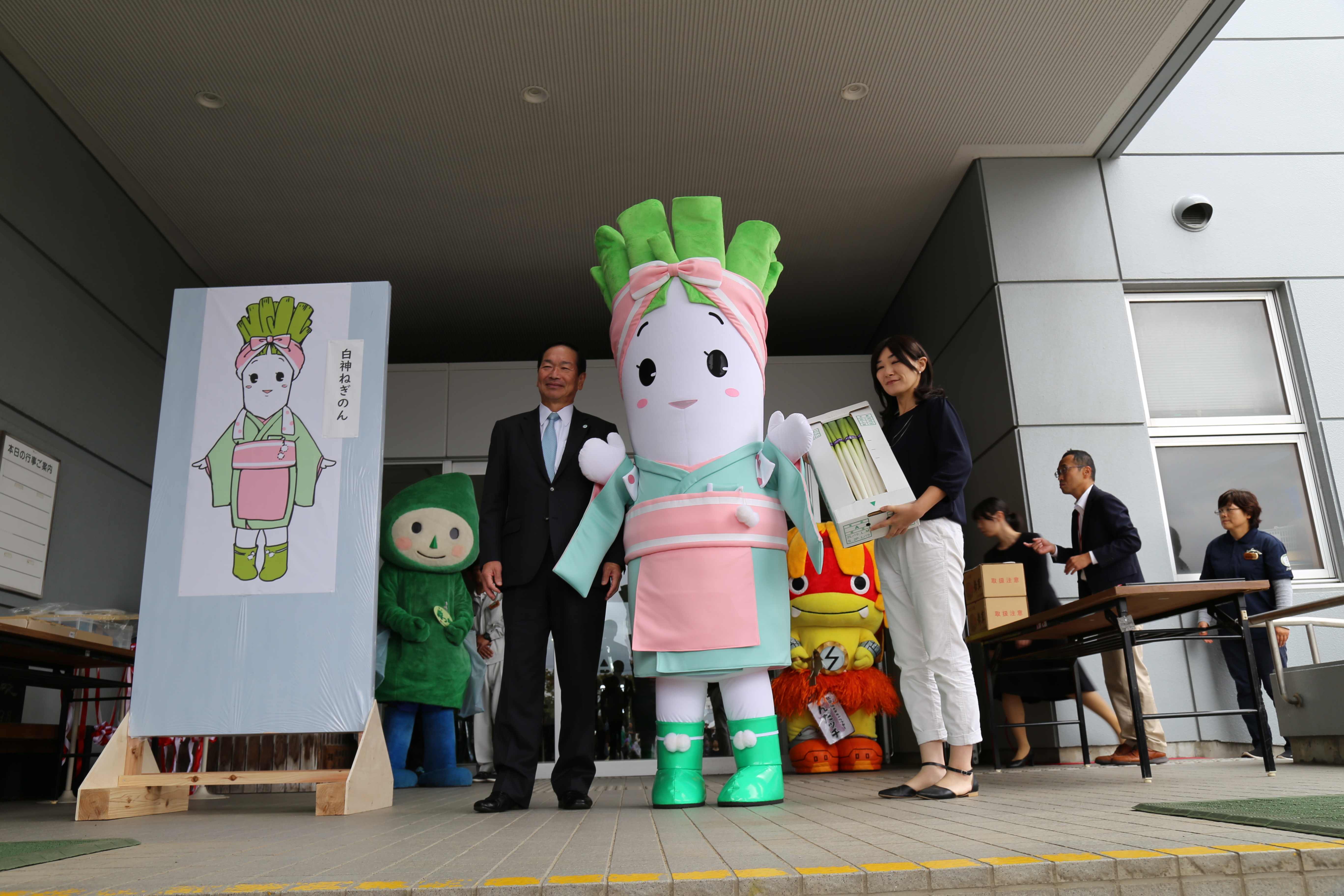 秋田・能代のブランド「白神ねぎ」、大雨で大きく曲がり生産者落胆 : 読売新聞