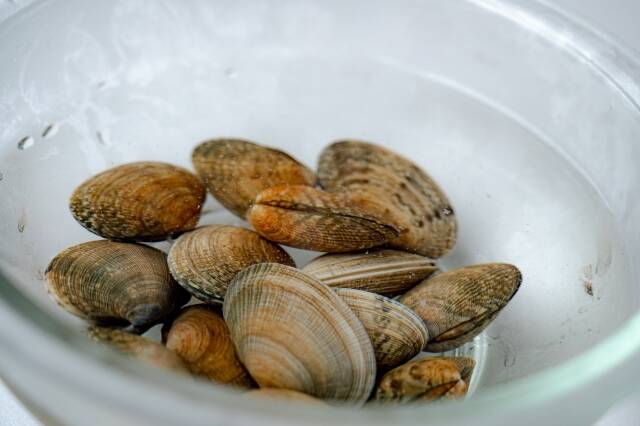 あさりの砂ぬきはこれでカンペキ！保存方法やおいしいレシピも大公開暮らしニスタ
