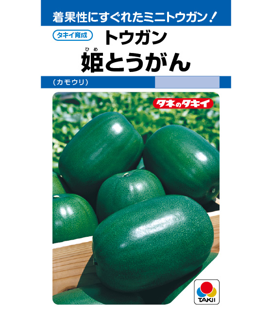 夏・秋が旬の「トウガン」 冬瓜 のご紹介ですＪＡマインズ