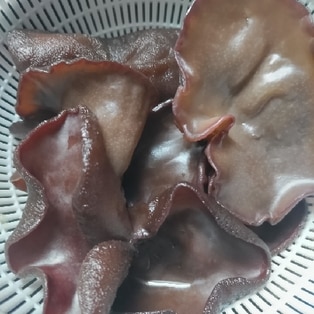 生キクラゲの下ごしらえ レシピ・作り方 by BEBE2936 - 楽天レシピ