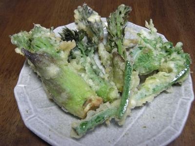こごみの天ぷら