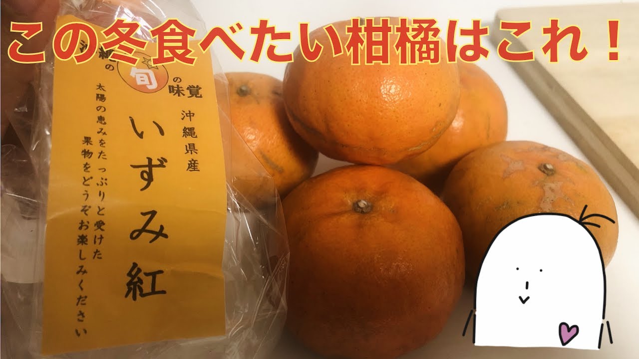 沖縄産みかんカーブチー 5kg入 送料無料旬の沖縄おきなわフルーツ 果物– 長浜商店