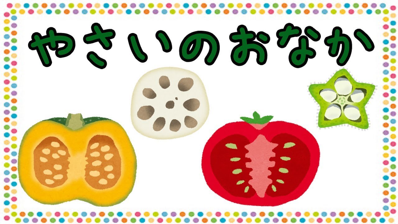 野菜の断面の写真素材写真素材なら「写真AC」無料 フリー ダウンロードOK