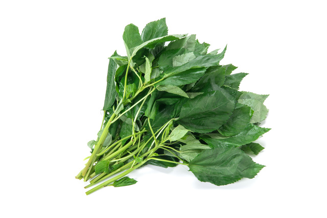 モロヘイヤ旬のきほん 野菜オレンジページnet