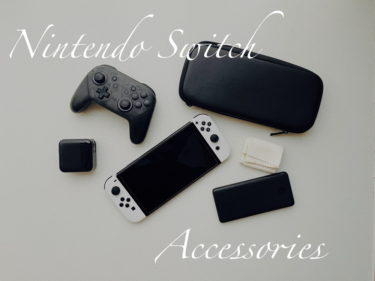 switchを買ったら必要なものまとめ 任天堂スイッチと一緒に買うものアプリログス