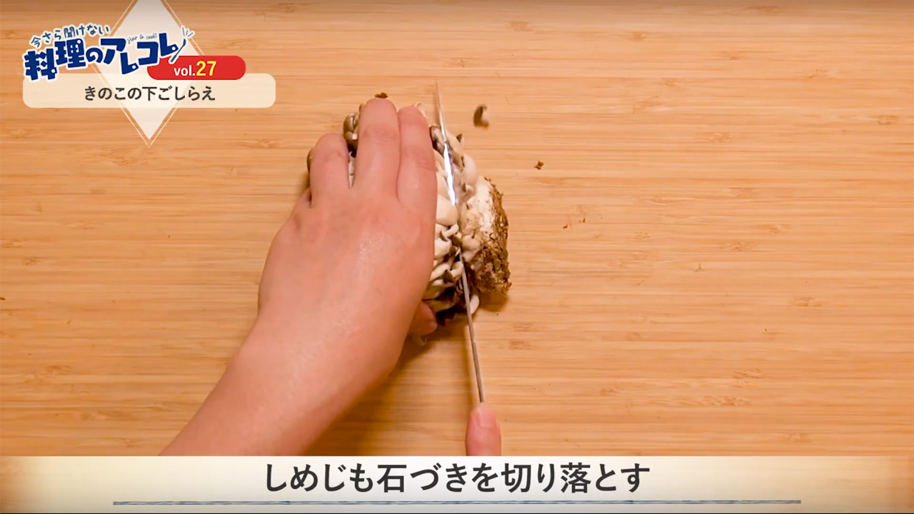 生産者解説 きのこは洗わない派の方はぜひご覧ください！視点が変われば見方が変わる？ - YouTube