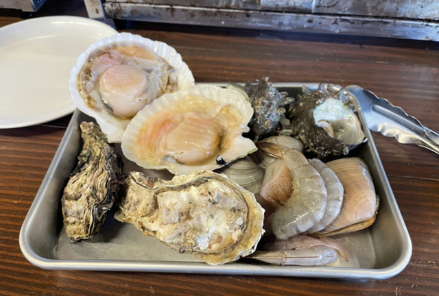 君のような活きのいい牡蠣はフライだよ 元ネタTikTok