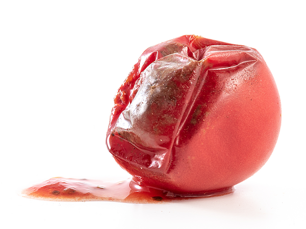 トマトが腐る見分け方 味や判断基準はどうなる？カビや腐敗の見極め、おいしいトマトの選び方も！野菜のおうち。常温と冷凍保存方法解説