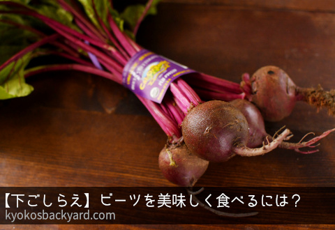ビーツは生で食べられる？下ごしらえからおいしい食べ方・レシピを管理栄養士が解説します - トクバイニュース