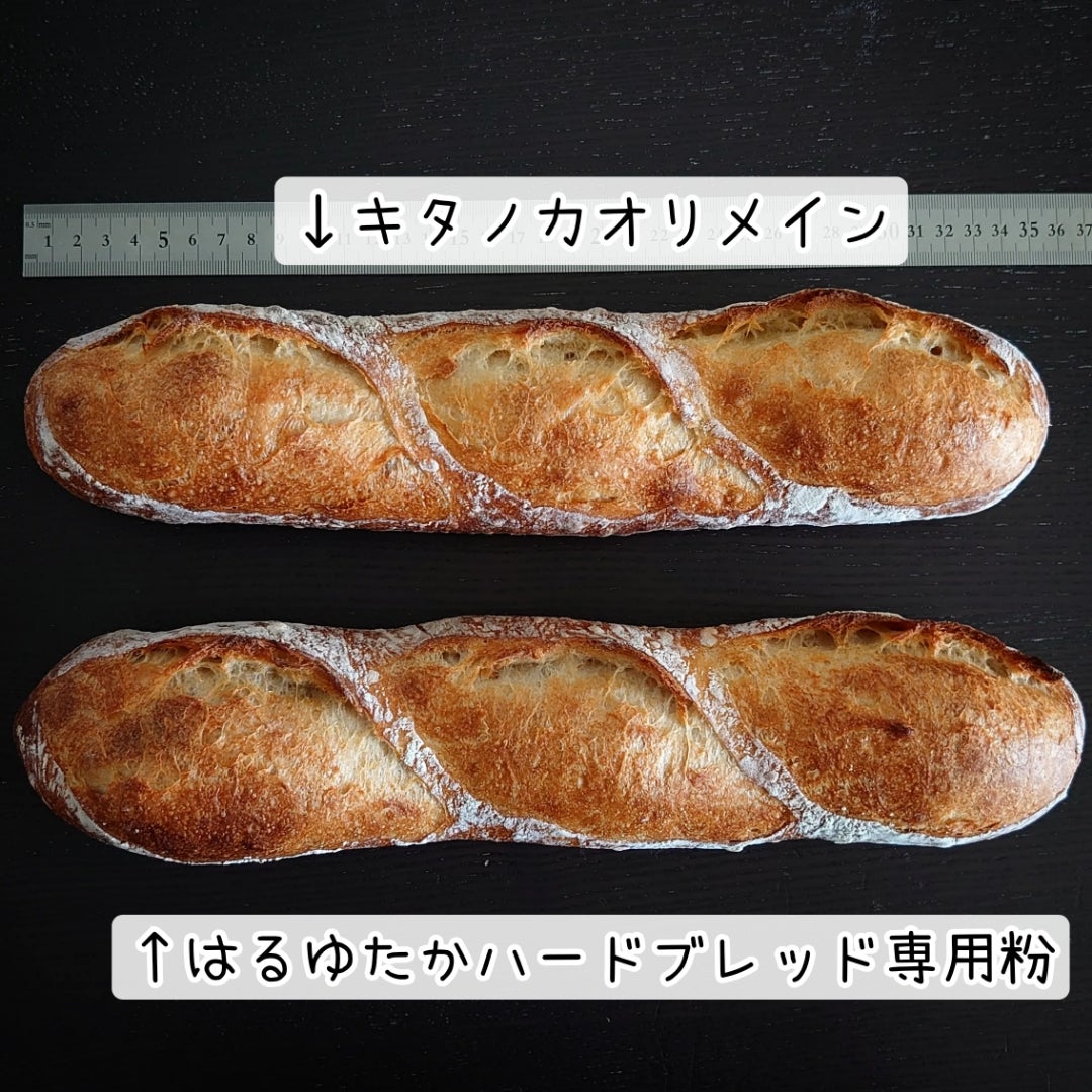 ヨーロッパの代表的なパン フランスのパン - ドンク - DONQ