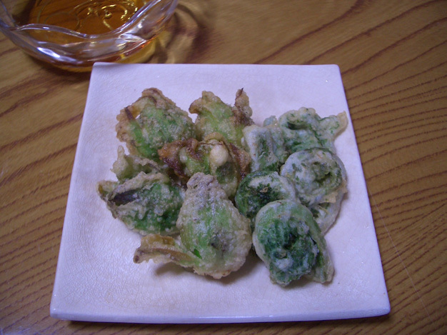 きょうの料理 こごみの天ぷらのレシピ大原千鶴 3月4日