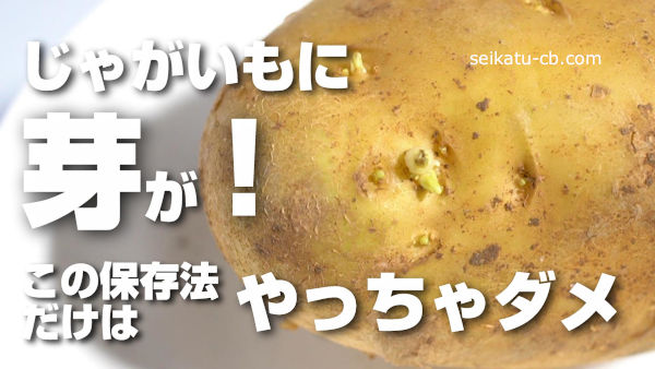 芽の出たジャガイモを売るなんて非常識ですよね～岩木山麓しらとり農場 青森の岩木山麓の固定種・在来種の自給循環型ＣＳＡ農場 研修生募集中