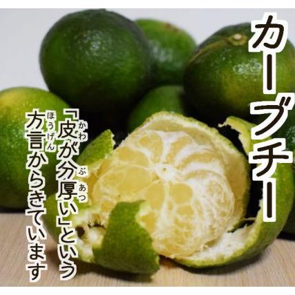 沖縄で柑橘類づくし - 沖縄B級ポータル - DEEokinawa でぃーおきなわ