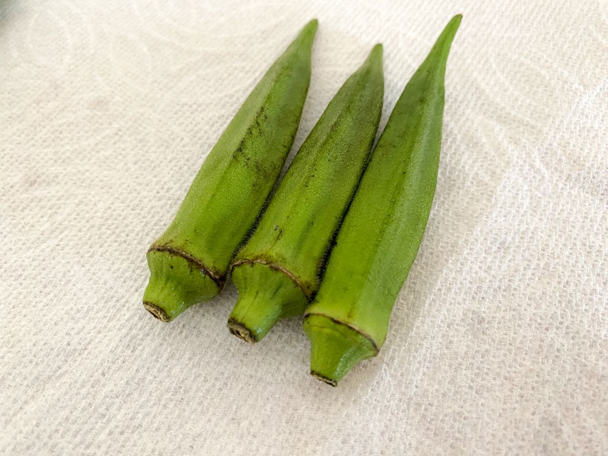 美味しいオクラを育てるために！知っておきたい6つの病気と対処法産直プライム.labブログJA連携！産地直送通販なら産直プライム