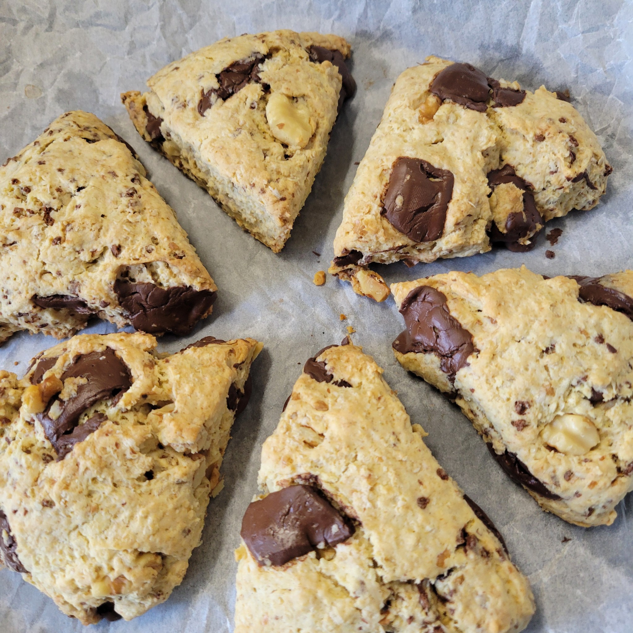 スコーン風オートミールクッキー│taneブログ