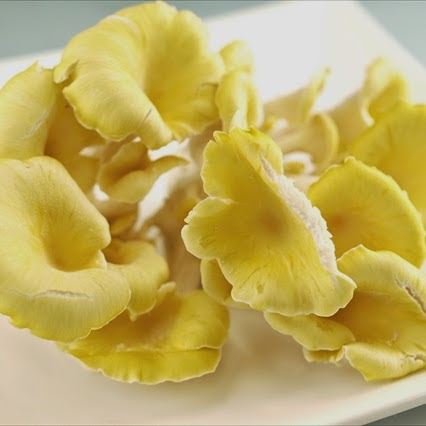 殺しの天使」に気を付けて 毎年のように被害続出・毒キノコに注意！Sitakke したっけ