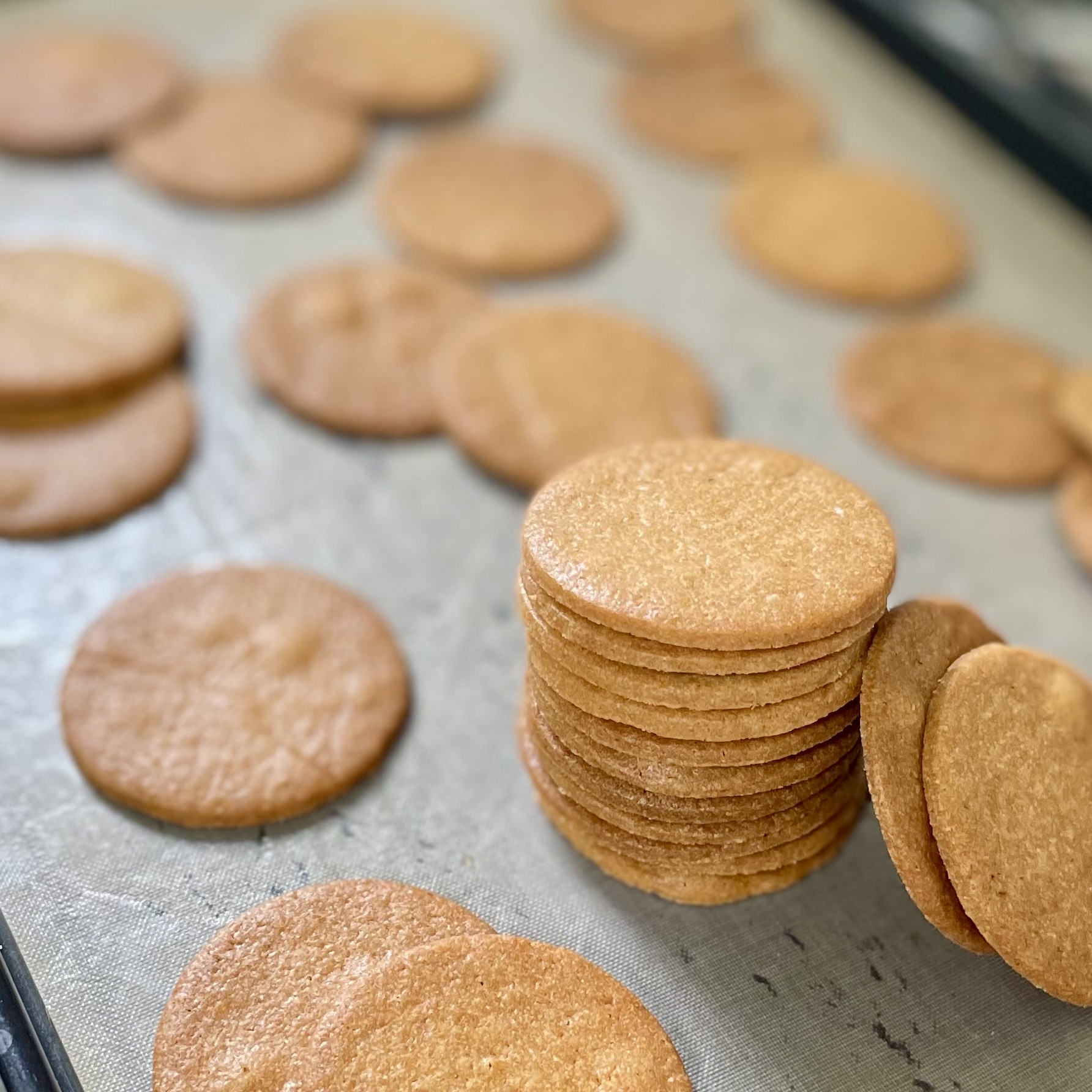 ドリップ コーヒー ドリップバッグ プチギフト 珈琲 個包装 8g クリスマス限定 バケツ入りギフト まとめ買い 3個セット 冷凍便同梱不可RDTS