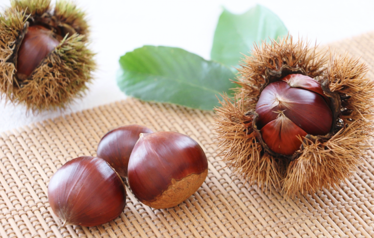 栗のテリーヌ 栗のパウンドケーキ