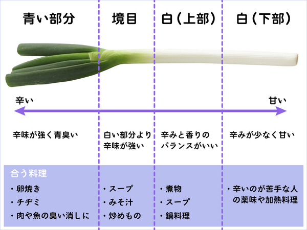 より太く、より甘く」を目指して、ゆったり育てる「安土信長葱」 - ここ滋賀 -COCOSHIGA
