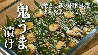 毎日つかえる！大葉と豚ひき肉で作る料理、レシピアイディア集 - SnapDish Food Camera