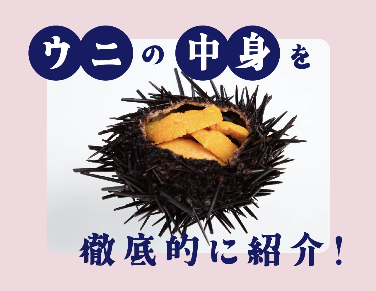 ウニの種類による味や旬の違いは？食のプロが感動したウニの名店も紹介クレジットカードはアメリカン・エキスプレス アメックス