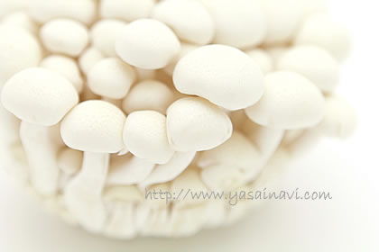 しめじ 「ぶな」と「ひらたけ」は同じ仲間 - 日本食糧新聞・電子版