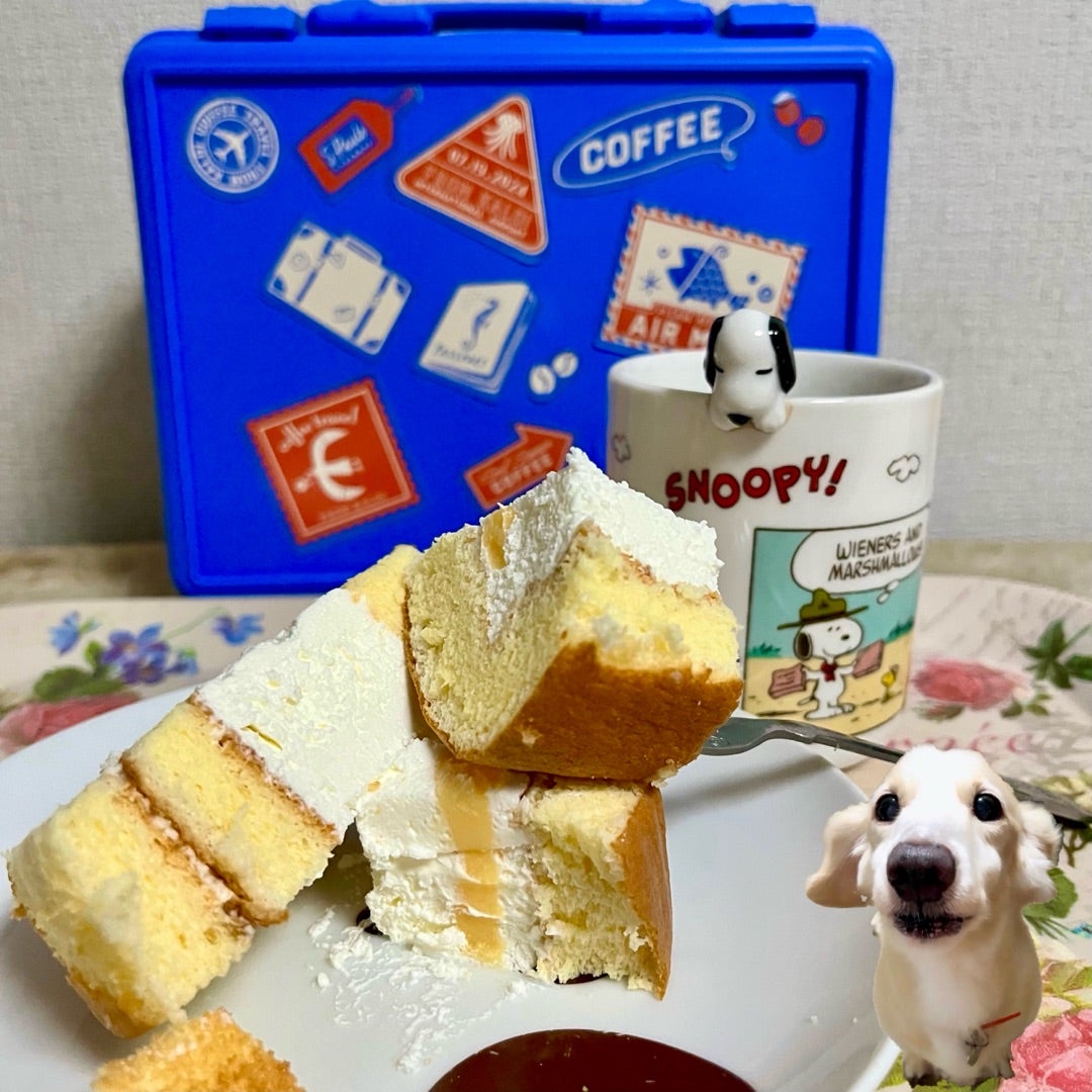 コスパ最強！ボリューミー&クリーミーを楽しむシャトレーゼのロールケーキ『うみたて卵のふんわり厚切りロール』をお取り寄せ&食べて徹底レビューおとりよせニッポン–ロールケーキ–