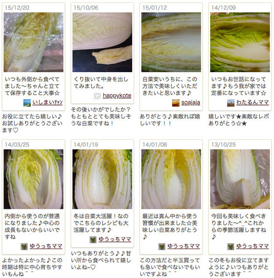 苦い白菜は食べてOK？見分け方は？対処法と食べ方、レシピも紹介 - Fily