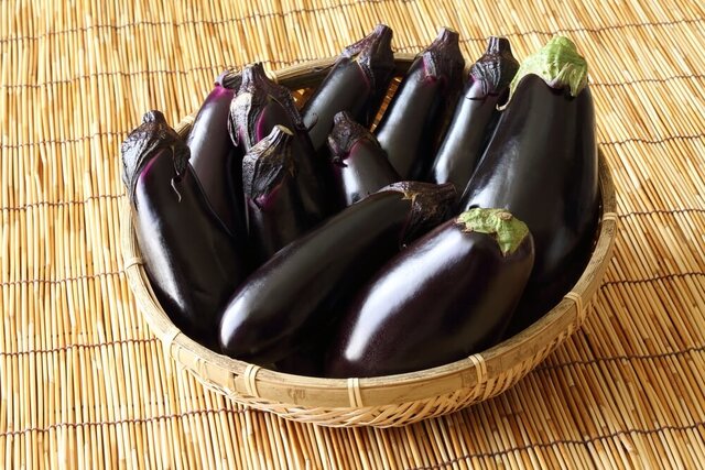 第二回食材塾にて、やっぱりナス大爆発！ ８種のナスを３種類の食べ方でテイスティングしてみました。 - やまけんの出張食い倒れ日記