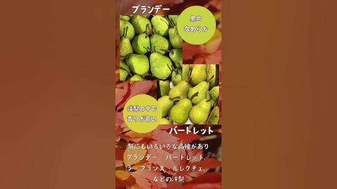 秋に食べたい旬の果物ランキング１位は「梨」！編集部おすすめのお取り寄せスイーツも紹介♪ じゃらんニュース