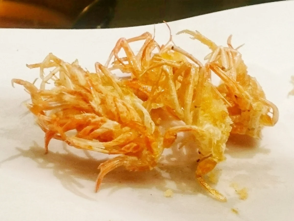 ミシュラン星付き“完全予約制”の贅沢なお座敷天ぷら・ 『てんぷら 三ツ田』銀座由美ママの心意気