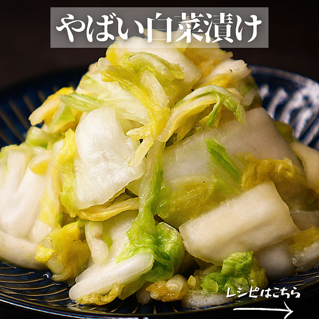 市販はもう買わない「白菜の浅漬け」ビニール袋で簡単！白菜の漬物の作り方・白菜漬けのアレンジレシピも紹介‼作り置きにおすすめ