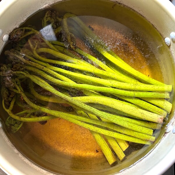 わらびのアク抜き方法 重曹を使って-Natural Essay