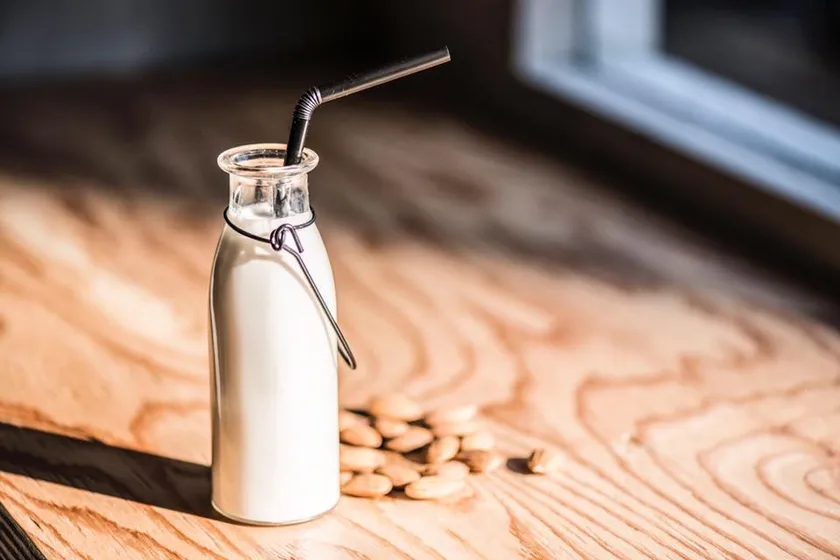 ナッツミルク シードミルク＋オーツ麦ミルク 計16種。作ってみた！！│The Edamame Kitchen