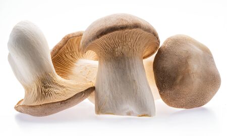 菌床しいたけ八峰町