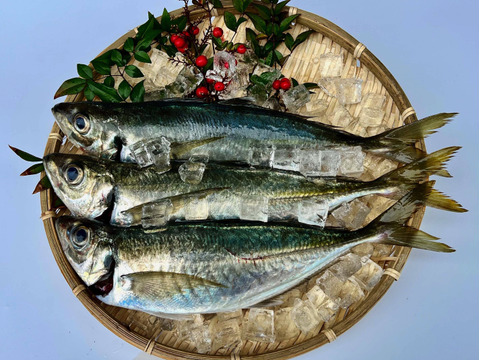 脂の乗った、鯖の塩焼き