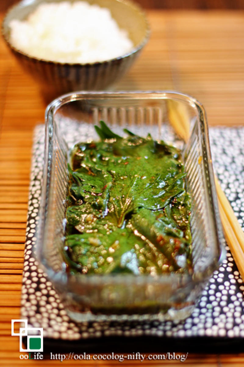 青じそ 大葉 大量消費に「大葉味噌」