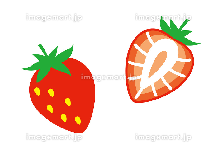 苺の断面図カタログ、13,000リツイート突破＼ ^o^豊洲市場ドットコムブログ