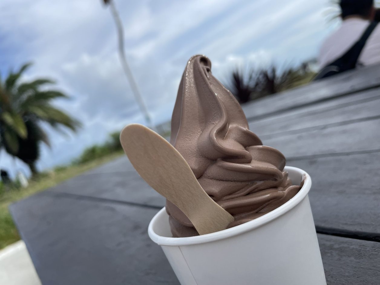 道の駅フェニックス ⁡ ⁡ 景色がよく最高な道の駅 ⁡ ここに来たらみんな冬でもソフトクリーム食べてます🍦ᩚ早い時間にくると名物のホットドッグも数量限定で食べれます！ ⁡ ⁡ 日向夏ソフトクリーム 400円 ⁡ 酸味があってかなりおいしい！口の中さっぱりするしまた食べ