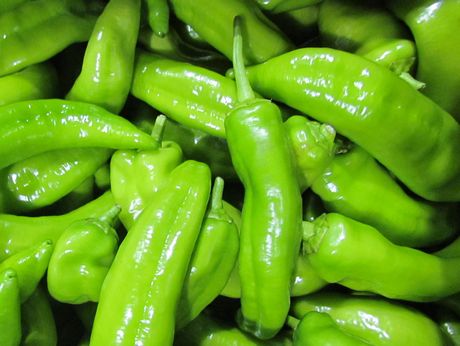 辛くない！？甘長とうがらし～ピーマンとの違いは？～ずーやのメモ帳