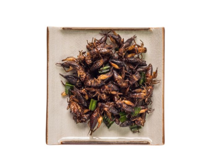 コオロギ給食｣への批判が珍しく納得できる理由 昆虫だけでなく多岐にわたる“苦情の成分