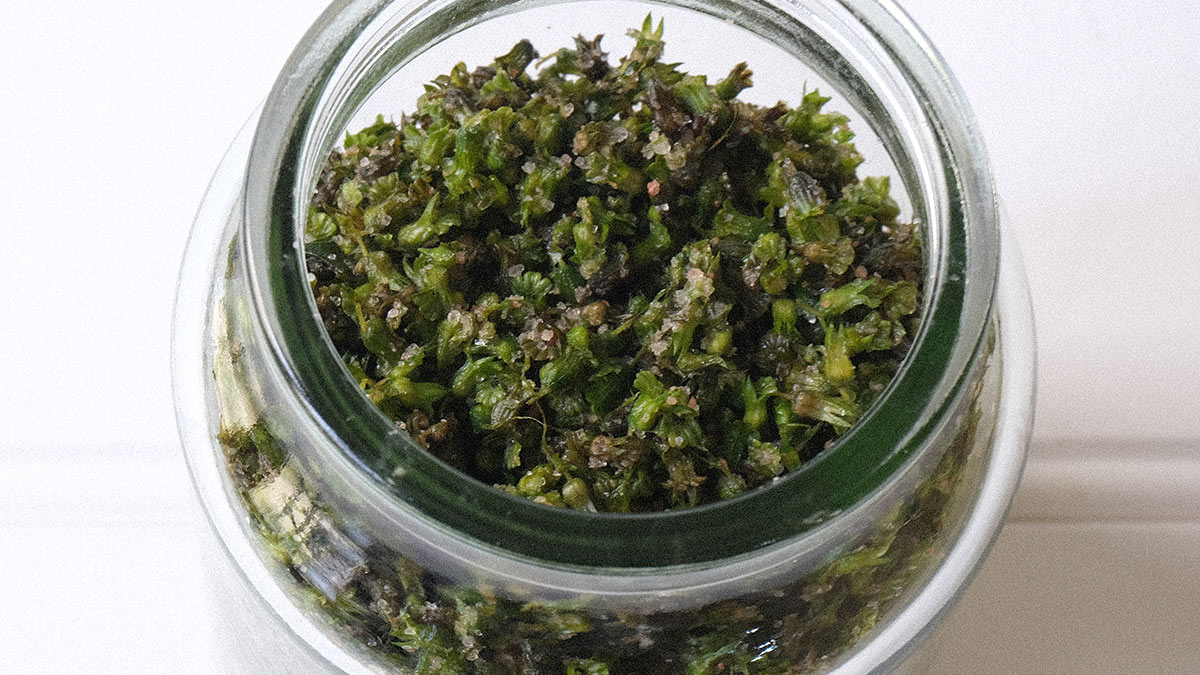 田舎の恵みで手作りおやつ 穂紫蘇はおいしい！ - 菜っぱのおひたし