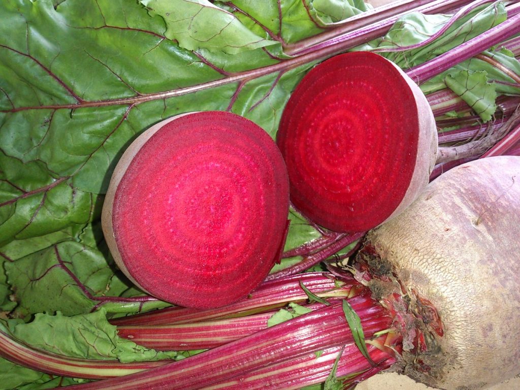 下ごしらえ ビーツを美味しく食べるには？Kyoko's Backyard アメリカで田舎暮らし・キッチン編