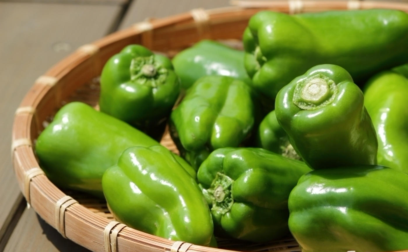 栄養たっぷりのサバ水煮缶とピーマンサラダの作り方