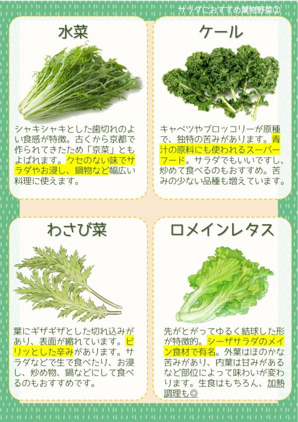 780食目「この葉物野菜の名前はなんでしょうか？」 ヒント 産地：福岡 - 適材適食 -てきざいてきしょく