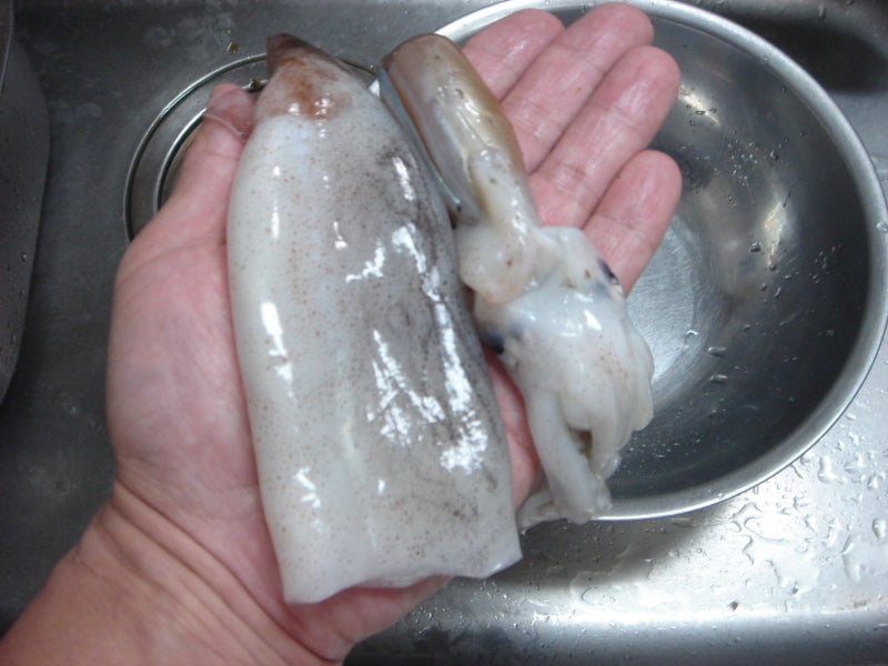 アオリイカのさばき方！刺身の作り方 釣ったイカの食べ方、料理 How to eat caught squid