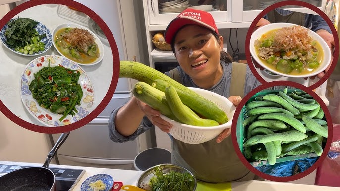 食べるヘチマ新規就農への道 〜ボートからトラクターへ