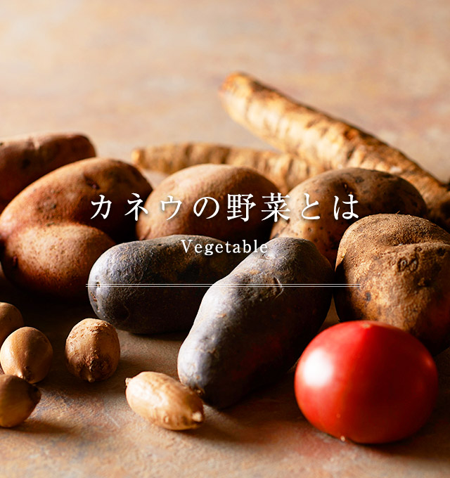 西洋野菜園 Ichiさんの投稿一覧食べチョク産地直送 産直 お取り寄せ通販 - 農家・漁師から旬の食材を直送