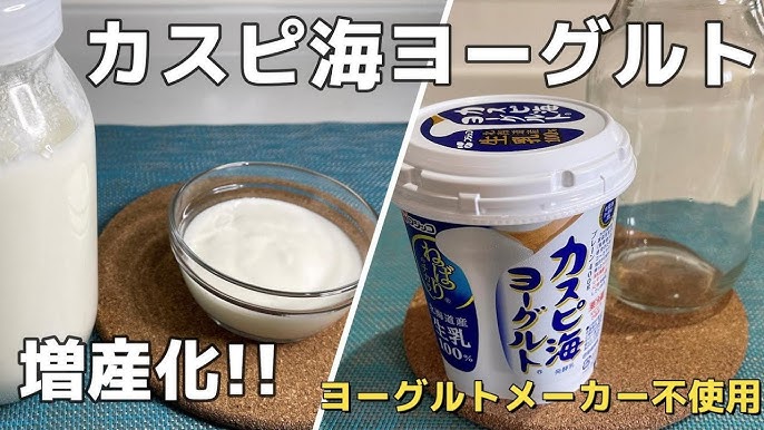 フジッコ水切りヨーグルト容器水切りバスケット カスピ海ヨーグルト 専用容器Rokkoner RK