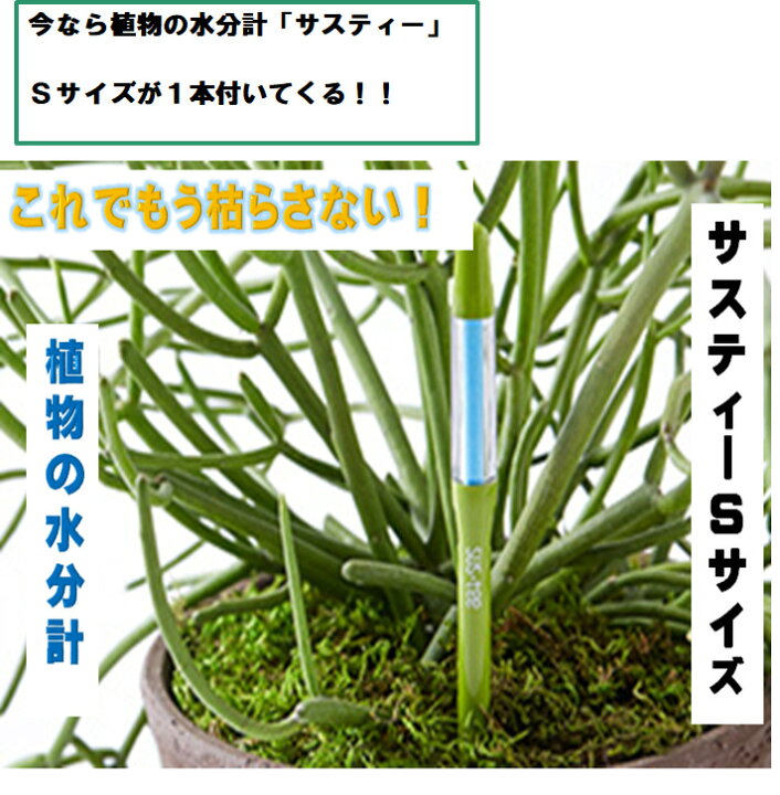 サラダミックス ベビーリーフ の育て方のポイントは？グリーンマーケット